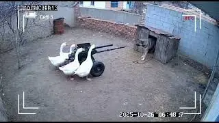 Be careful, evil geese!  I #midjourney #shortvideo #chatgpt