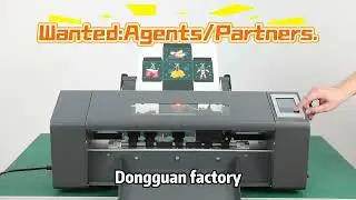 Exclusive for Labels/Crystal Stickers! Auto Die-Cutting + Slitting, Efficiency Doubled
