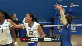 VB: Hofstra Highlights vs. Stony Brook (11/11/23)