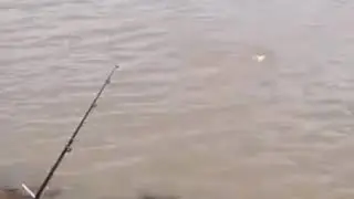 Shivaal at Aston Lake