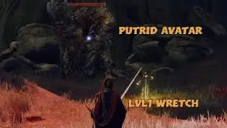 Elden Ring| Putrid Avatar LVL1 Wretch (no damage)