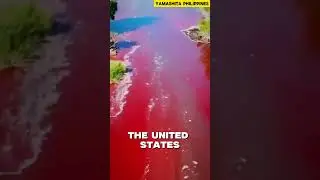 The Blood River &ndash; A Biblical Omen?