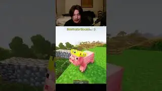 DONT CHECK THE SOUND creds:?