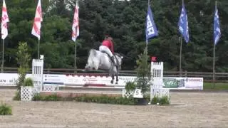 Annina Z ( Animo II Z x Carthago Z x Ramiro Z )  10 y/o mare Jumping Etten-Leur