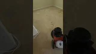 Carpet Cleaning. Fast Drying Process Phoenix Op Machine