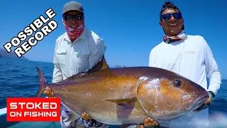 GIANT AMBERJACK, Possible La Ventana RECORD  + (FREE GIVEAWAY)