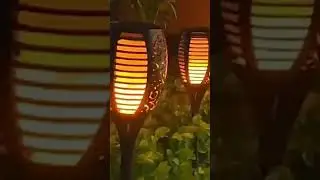 Discover the Magic of Solar Lights Garden Torch Lights Today!