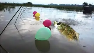 Unique Fish Catching Video | Best Fishing Trap Create By Colorful Balloons | Fishing Technology