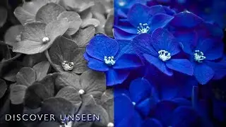 Photoshop Editing Tutorial for Stunning Color Changing and Grading. #photoshop #edit