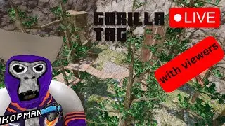 🚨gtag live🚨 with a Modder