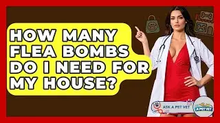 How Many Flea Bombs Do I Need For My House? - Ask A Pet Vet