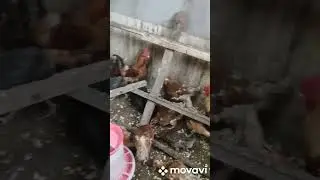 Молодки за услугу.