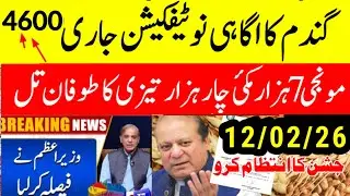 Today Wheat price in punjab/گندم کا ریٹ 2025/munji makki till sarso/Galla mandi rates today #punjab