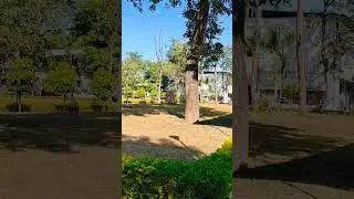 CSIR-IIP Campus# Mohkampur# Dehradun#Odia Traveller