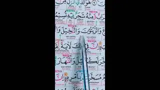 MENGAJI NGAJI BERSAMA - SAMA 03 FEBRUARI 2026