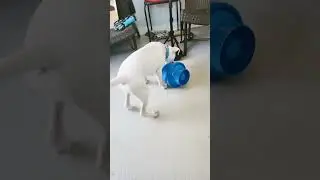 my old nemesis the bubble bucket