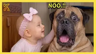 🐶👶When Your Adorable Dog And Your Baby Have A Secret Conversation 💕