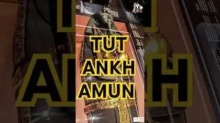 Tutankhamun Black Sarcophagus - The Mysterious Resting Place #mummy #egypt #egyptiangod