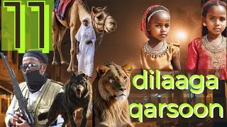 PART 11   \ DILAAGA QARSOON SHEEKO YAAB LEH