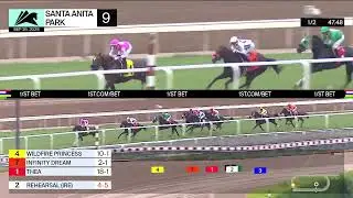 Infinity Dream выигрывает гонку 9 в пятницу, 26 сентября, в парке Санта-Анита.