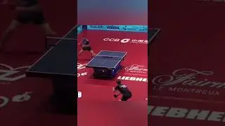 Unbelievable!!! 😱 #tabletennis #shorts #pingpong