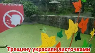 Киевский зоопарк &hearts;️