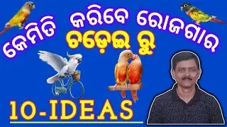 Bird Business || Bird Business Idea || Bird Business And Profit
