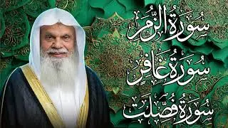 تدبر التوحيد والآيات العظيمة مع سور الزمر، الغافر، فصلت ✨ الشيخ علي الحذيفي