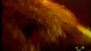 Pantera - Yesterday Don't Mean Shit [Live]