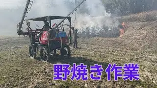【野焼き作業】田んぼの高土手の野焼き作業をしました、ものすごく綺麗になりました