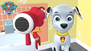 PAW Patrol A Day in Adventure Bay! 🐶 Customize MARSHALL 's outfit with the shirt, shoes, and pants!