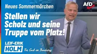 Machen wir ein neues Sommerm&auml;rchen wahr: Die Ampel muss weg! | Leif-Erik Holm, MdB