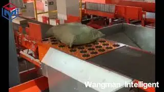 EFS Wheel Sorter/Wave Sorter/Swivel Sorter/Pivort Sorter for Logistics Warehouse Express
