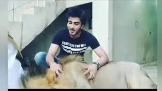Imran abbas playing with lion
