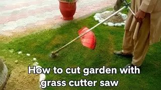 January 15, 2026How to Cut Garden Grass Properly with a Grass Cutter