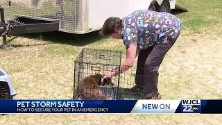 National Animal Disaster Preparedness Day; How to keep your pet safe during a disaster