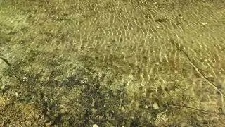 Wasser, Licht zeigt den Rhythmus Wellen