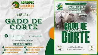 agropecleiloes.com LEIL&Atilde;O GADO DE CORTE | MARTELO DE OURO LEIL&Otilde;ES - GURUPI-TO 21/01/2026.