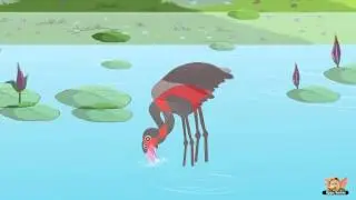 Animal Facts in Hindi - Flamingo