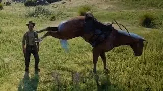 1 minute 59 seconds of horses kicking people.. 😂