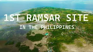 OLANGO ISLAND - AERIAL VIEW