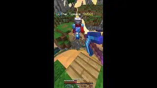 Skywars Blocktrap