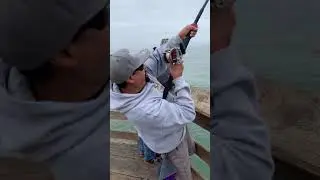 Ventura Pier Fishing