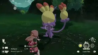 [POKEMON LEGENDS ARCEUS] How to get Alpha Pokemon without doing any Battle (BRAVIARY + LEADEN BALL)