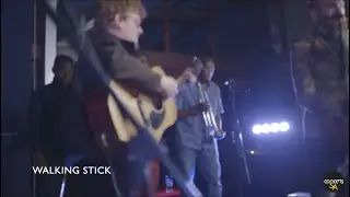 Georgetown & The Moonies - My Walking Stick (Live @ Lucit)