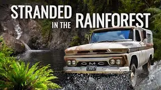 Platypus Hunt Gone Wrong: GMC Truck Troubles in North QLD Rainforest