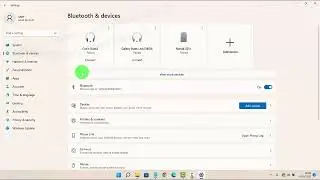 Windows 11 Home : How to enable or disable mouse pointer shadow
