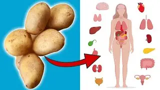 Вот почему НИКОГДА не следует есть сырой картофель 💥 (ВАЖНО) 🤯