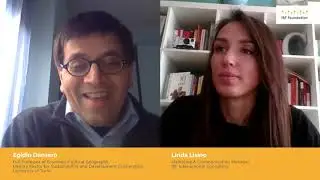 How can university students access Development Cooperation projects through universities?