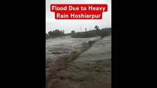 Aaj Flood aagya Hoshiarpur Heavy Rain Karke |Safe rahe dosto |#flood #hoshiarpur #viralshorts #viral